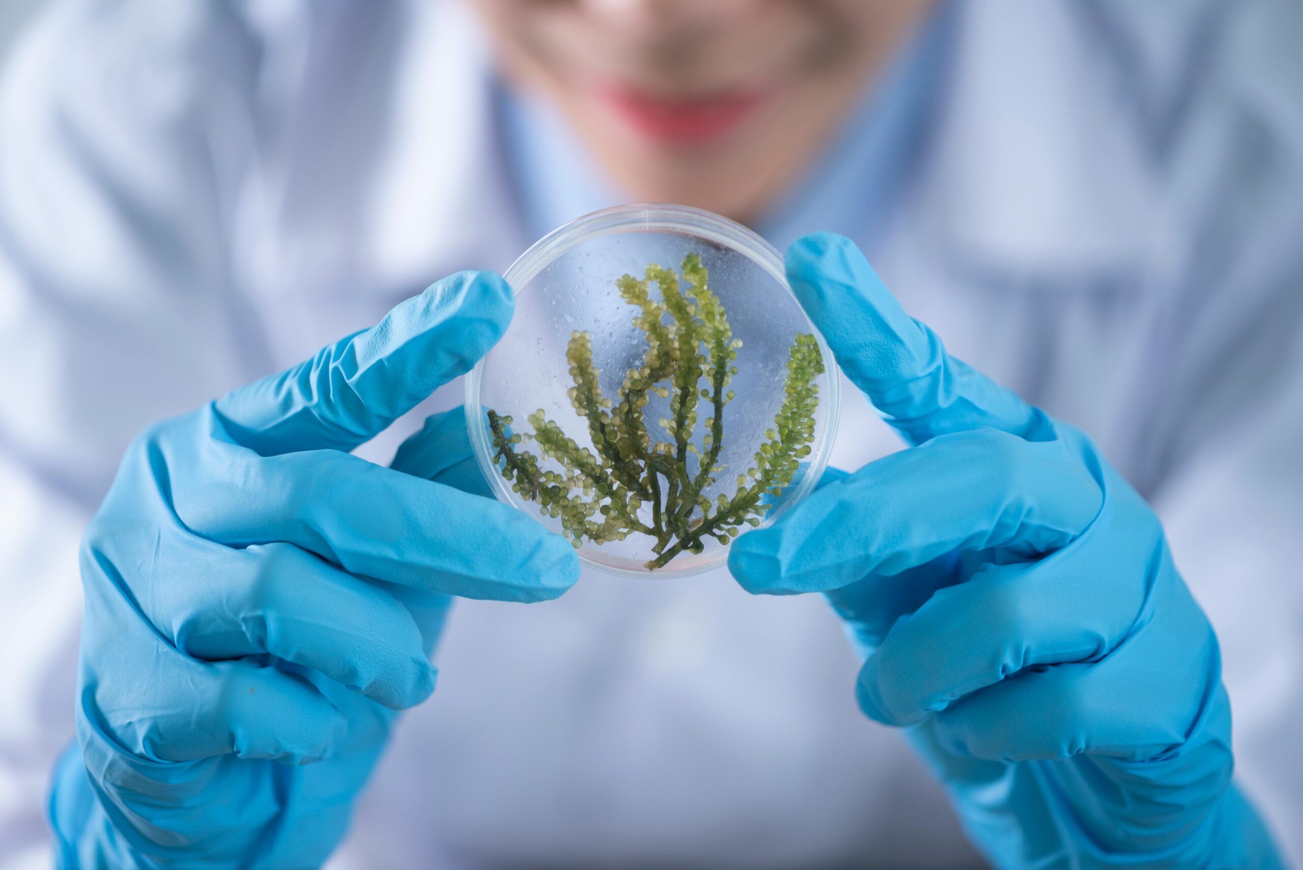 Inovasi di Bidang Pendidikan Biologi: Apa yang Akan Anda Pelajari dan Mengapa Itu Penting