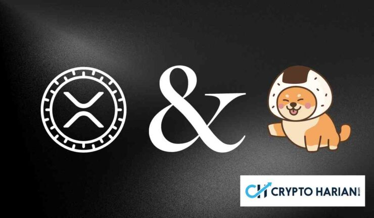 XRP Menunjukkan Pola ‘Double Bottom’: Apa Artinya Bagi Investor?