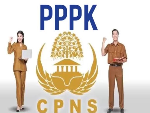 CPNS sulawesi tenggara