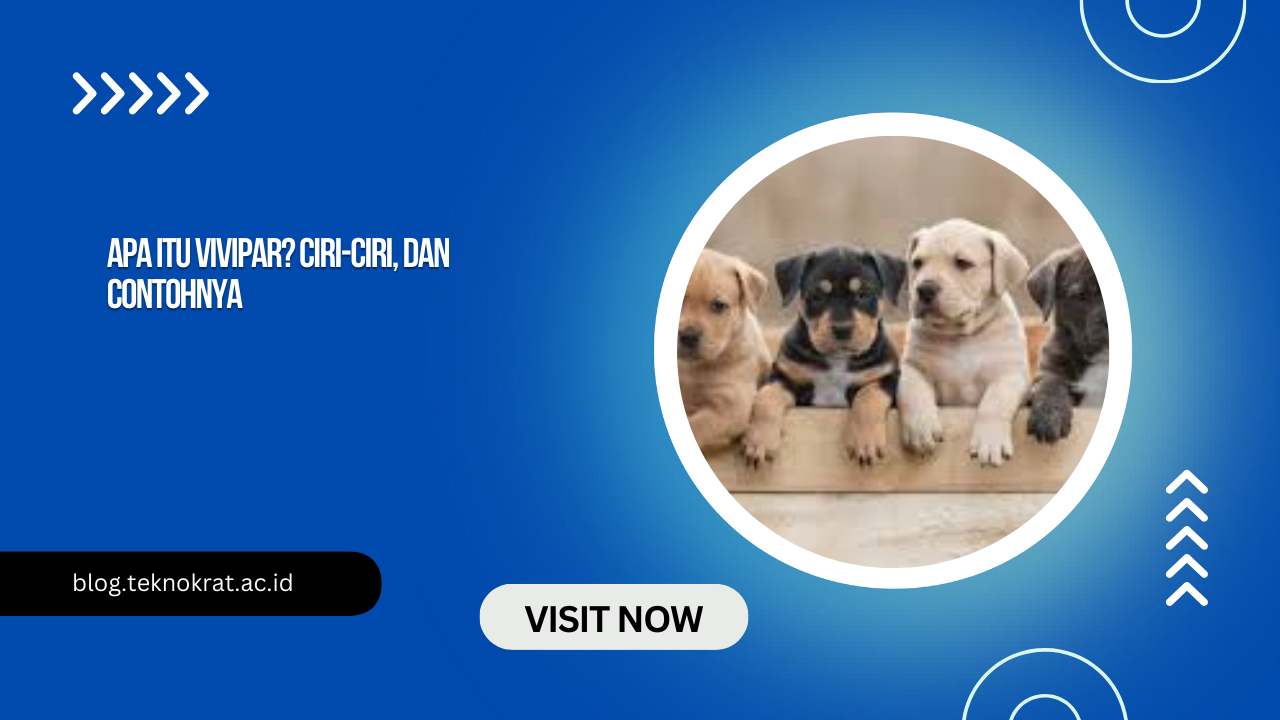 Apa Itu Vivipar? Ciri-Ciri, dan Contohnya