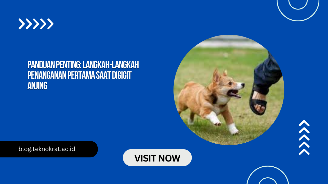 Panduan Penting: Langkah-Langkah Penanganan Pertama Saat Digigit Anjing