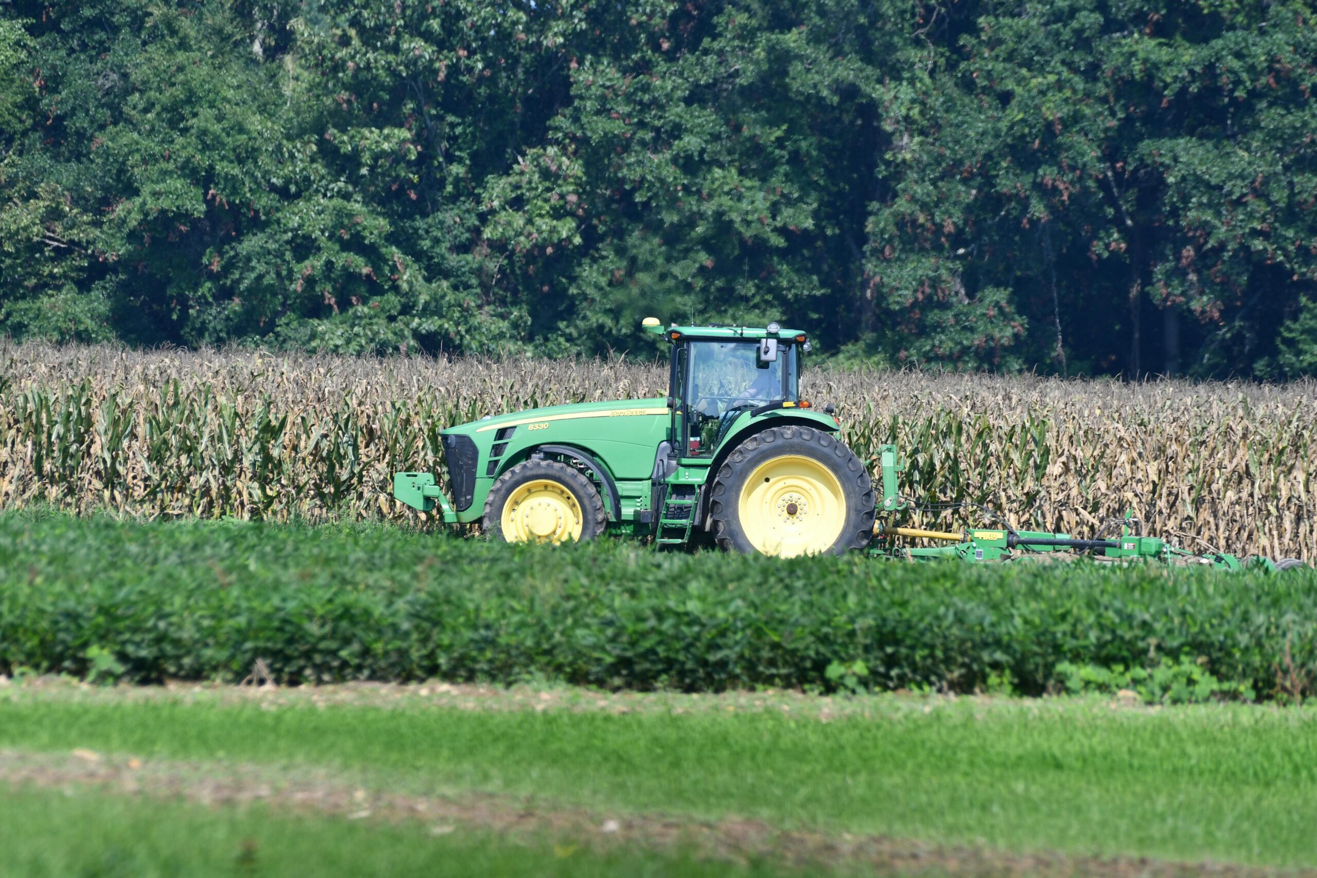 Inovasi di Bidang Agribisnis: Apa yang Akan Anda Pelajari dan Mengapa Itu Penting