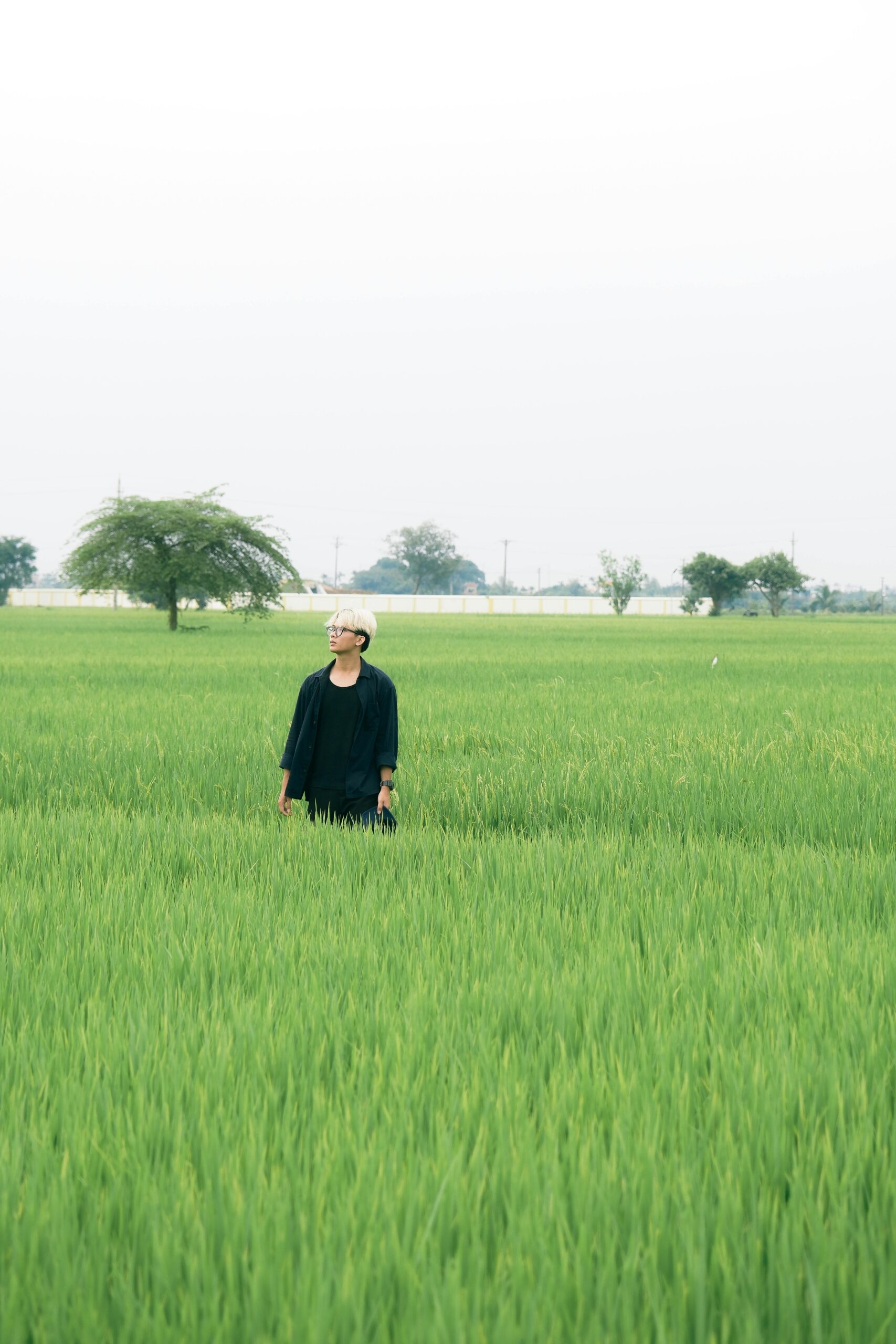 Lulusan Agronomi, Tahu Nggak? Ini Pekerjaan yang Bisa Jadi Karier Impianmu!