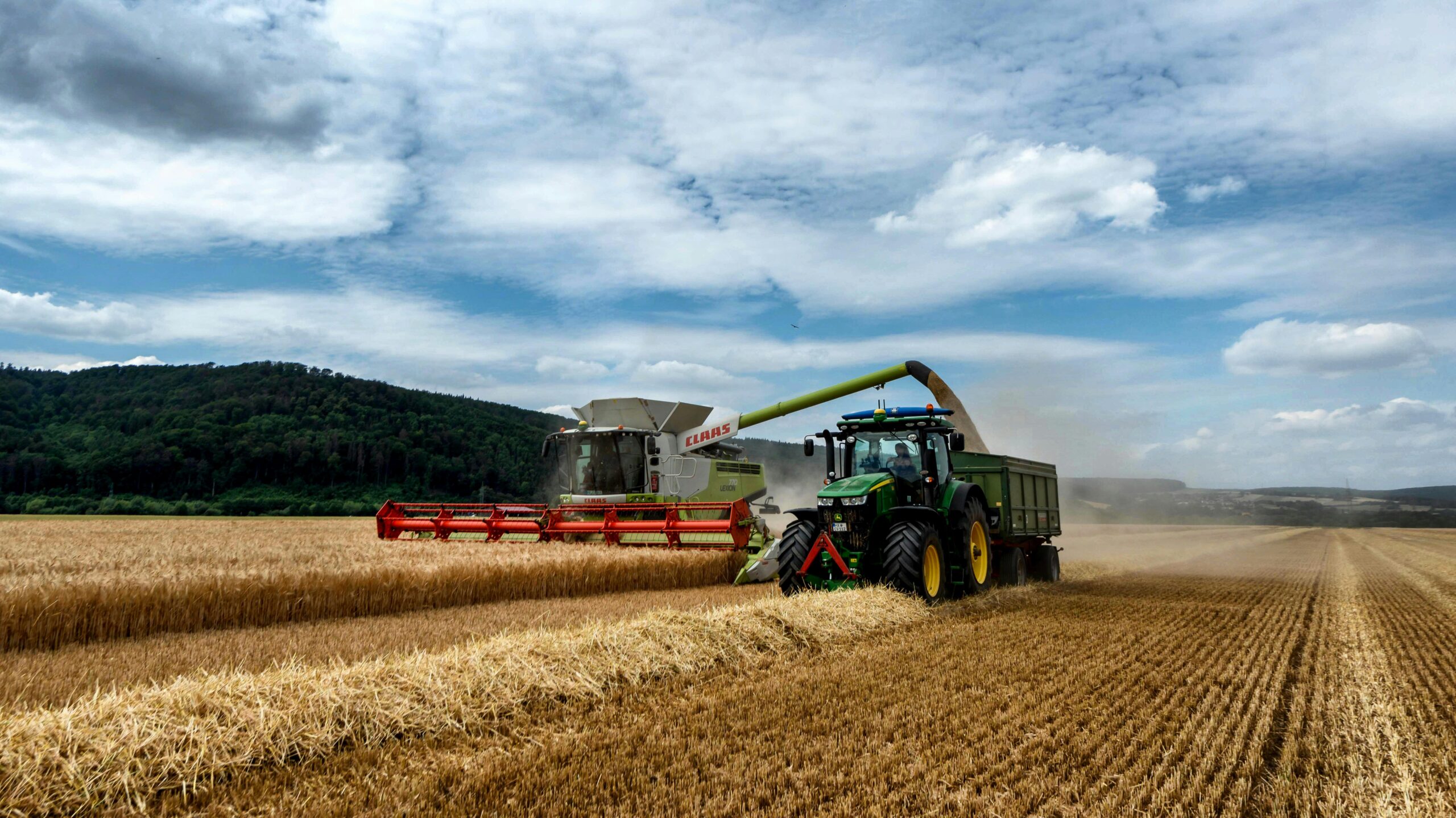 Karier Menjanjikan Menanti Lulusan Agribisnis: Ini Daftar Pekerjaannya!