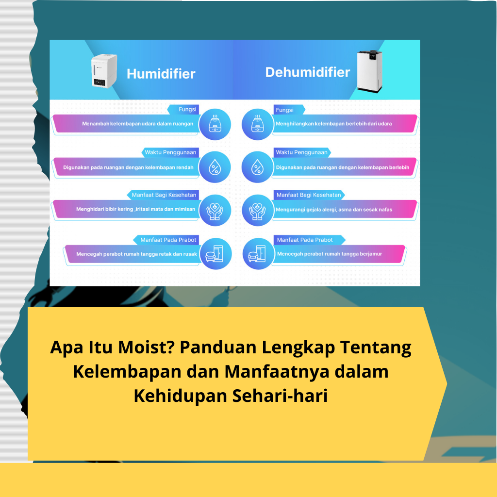 Apa Itu Moist? Panduan Lengkap Tentang Kelembapan dan Manfaatnya dalam Kehidupan Sehari-hari