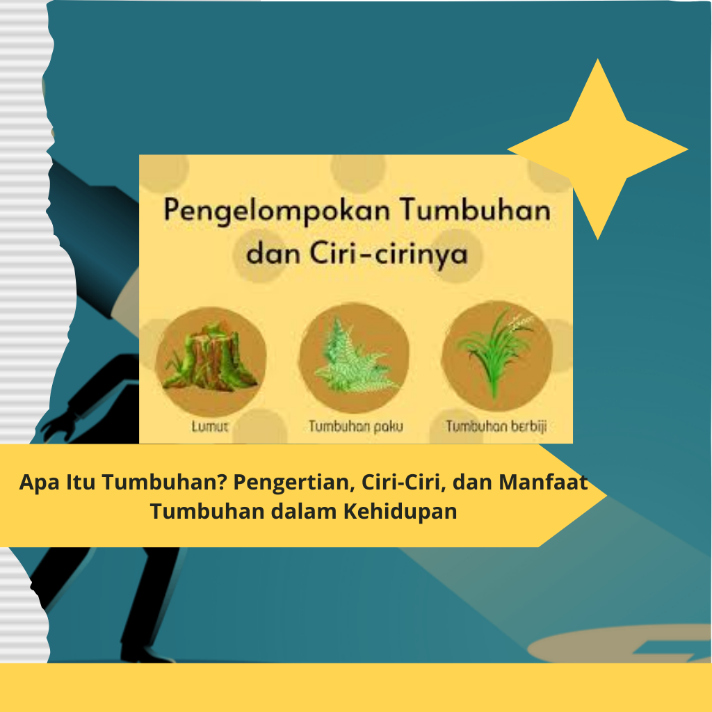 Apa Itu Tumbuhan