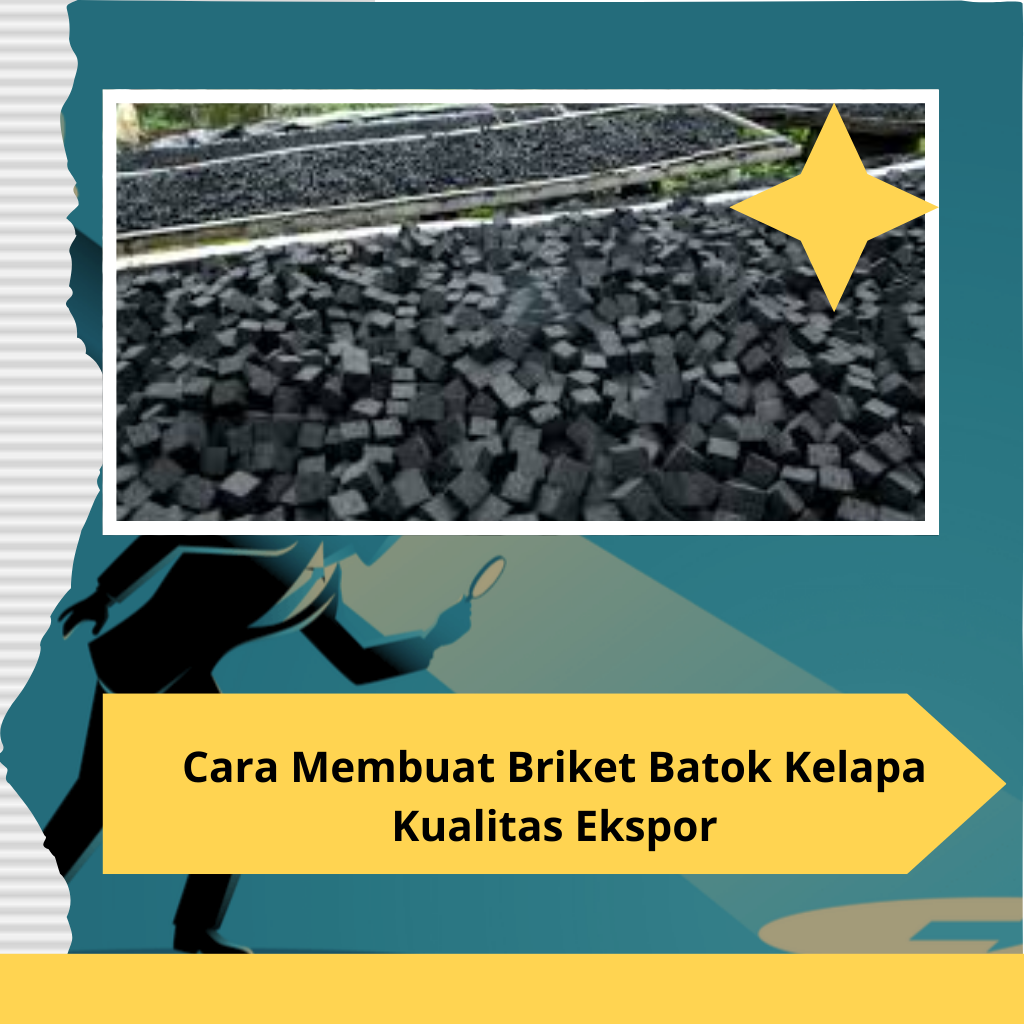 Cara Membuat Briket Batok Kelapa Kualitas Ekspor