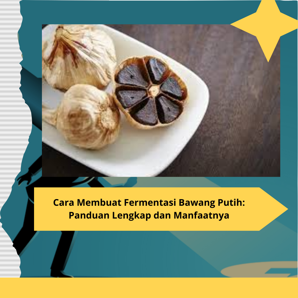 Cara Membuat Fermentasi Bawang Putih Panduan Lengkap dan Manfaatnya