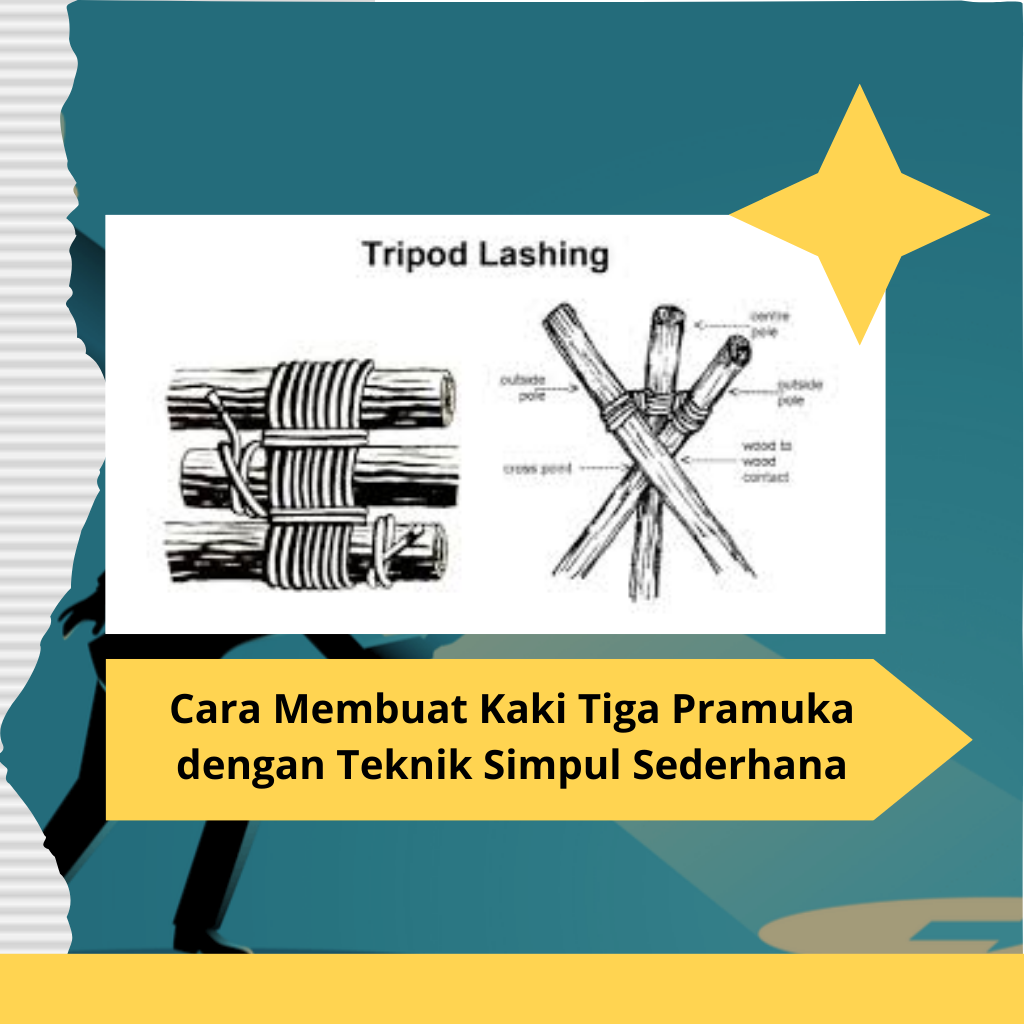 Cara Membuat Kaki Tiga Pramuka dengan Teknik Simpul Sederhana