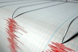 Gempa Magnitudo 4,7 Guncang Maluku Barat Daya: Fakta, Dampak, dan Kesiapsiagaan Masyarakat