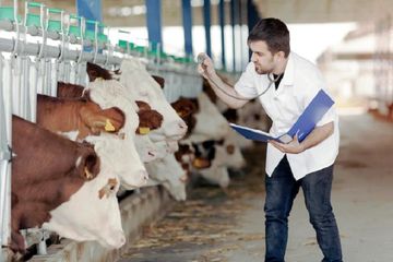 https://blog.teknokrat.ac.id/wp-content/uploads/2025/02/vet-working-simmental-cows_57054-20221104064311.jpg