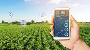 Revolusi Hijau Digital: Penerapan Teknologi IoT di Bidang Pertanian