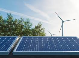 Startup Teknologi Hijau: Peluang Emas di Era Transisi Energi Berkelanjutan