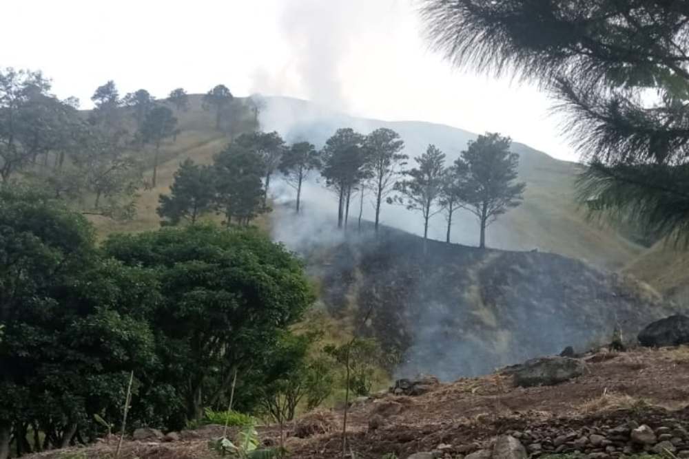 Puncak Kemarau 2025: Apa yang Harus Anda Ketahui