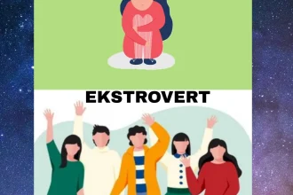 5 Kebiasaan Ekstrovert yang Mandiri dan Tidak Takut Sendirian Menurut Ilmu Psikologi