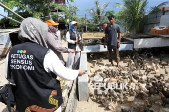 Antisipasi Scam, OJK Minta Masyarakat Kroscek Petugas BPS Saat Sensus Ekonomi 2026