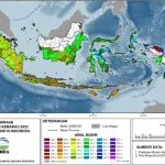 BMKG: Cuaca di Indonesia Masih Didominasi Kemarau, El Nino Menguat