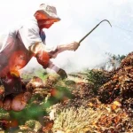 El Niño: Ancaman Bagi Industri Minyak Sawit dan Pangan