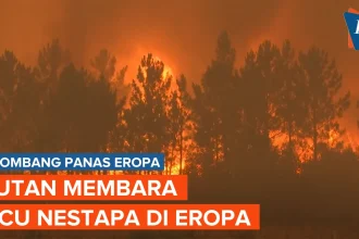 Gelombang Panas Picu Kebakaran Hutan Besar, Eropa Masuk Status Siaga