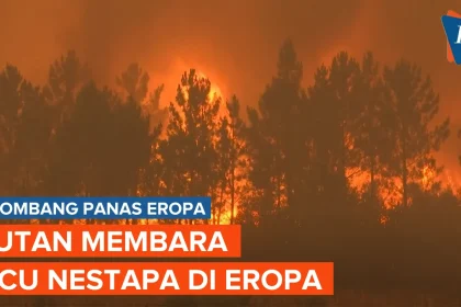 Gelombang Panas Picu Kebakaran Hutan Besar, Eropa Masuk Status Siaga