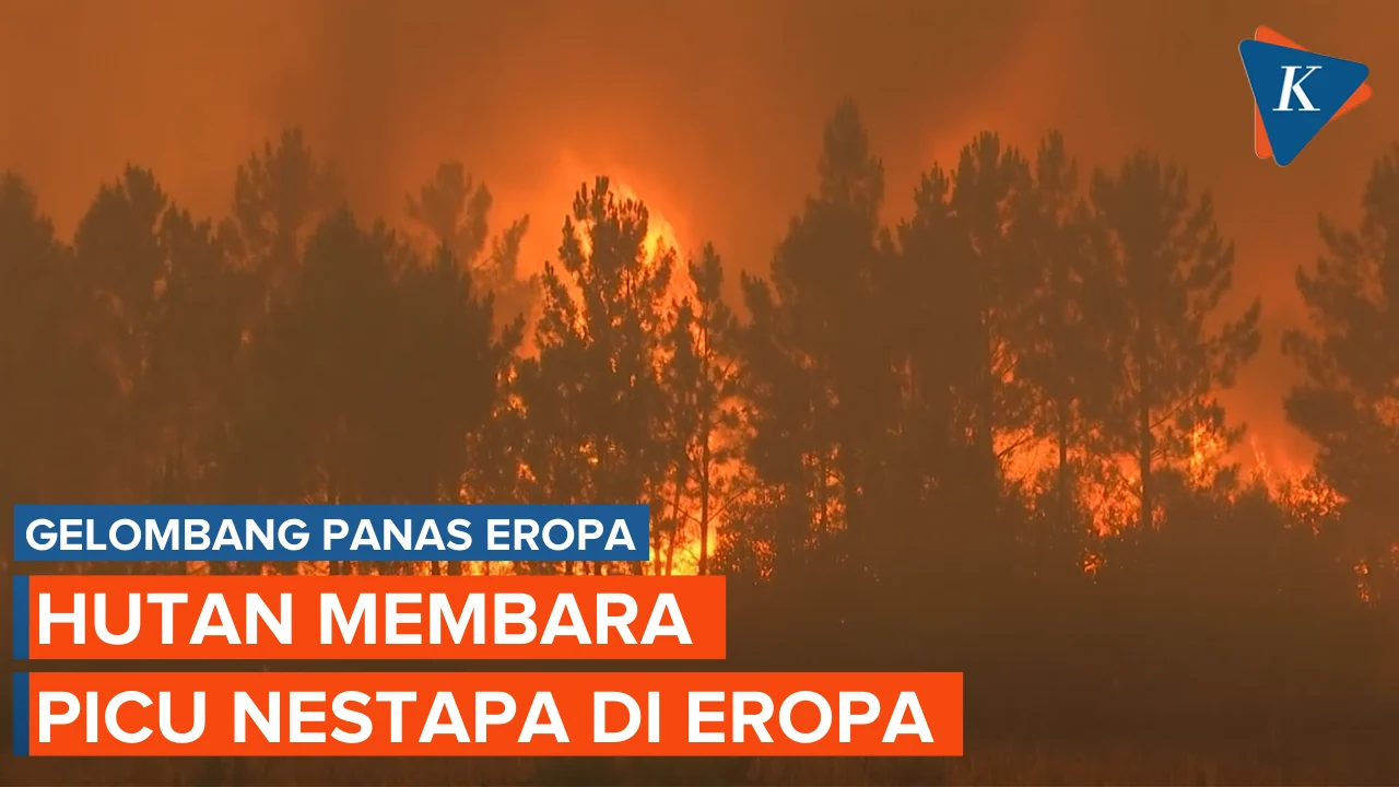 Gelombang Panas Picu Kebakaran Hutan Besar, Eropa Masuk Status Siaga