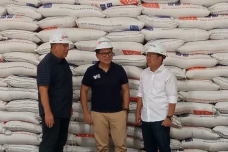 Harga Beras Stabil, Bulog Serap 3,5 Juta Ton Beras per Juli 2026