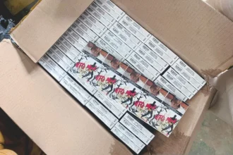 IDF Gagalkan Penyelundupan Ribuan Rokok ke Gaza Lewat Buah Nanas