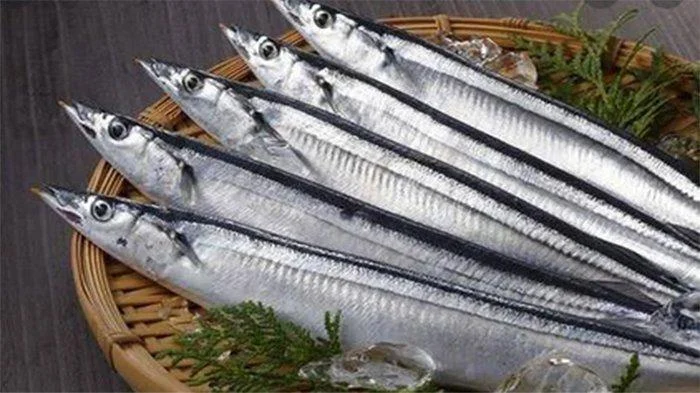 Jepang Menghadapi Tantangan Baru: Dari Penurunan Ikan Sauri hingga Ekspansi Musik Global