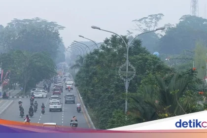 Kepungan Asap Karhutla Memburuk, Pontianak Dinobatkan Jadi Kota Paling Berpolusi Se-Indonesia