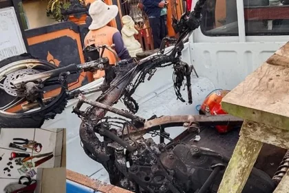 Kronologi KD Curi Ayam di Bali Sebelum Tewas Dikeroyok, Dipergoki Warga, Sempat Ancam Bunuh Pemilik