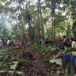 Petani yang Hilang di Hutan Halmahera Timur Akhirnya Selamat, Bertemu Suku Pedalaman