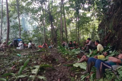 Petani yang Hilang di Hutan Halmahera Timur Akhirnya Selamat, Bertemu Suku Pedalaman