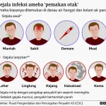 Rasanya seperti film horor - Ameba 'pemakan otak' yang telah menyebar ke seluruh dunia, Piala Dunia 2026 Jadi Sorotan
