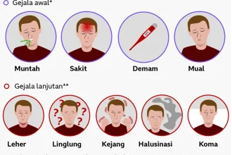 Rasanya seperti film horor - Ameba 'pemakan otak' yang telah menyebar ke seluruh dunia, Piala Dunia 2026 Jadi Sorotan