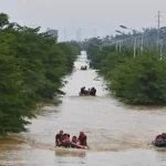 Ratusan ular kobra lepas saat banjir terjang Tiongkok, warga digigit hingga dilaporkan tewas