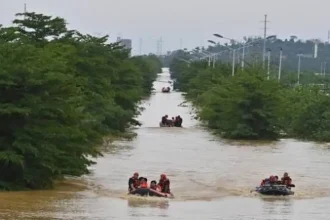 Ratusan ular kobra lepas saat banjir terjang Tiongkok, warga digigit hingga dilaporkan tewas