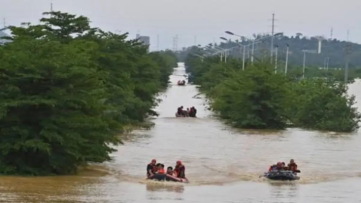 Ratusan ular kobra lepas saat banjir terjang Tiongkok, warga digigit hingga dilaporkan tewas