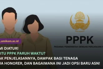 Sebelum Kontrak Habis PPPK Paruh Waktu Diusulkan Jadi ASN Penuh, Resmi Sebagai Upaya Penyelesaian