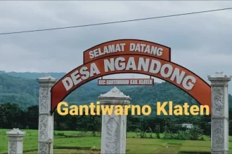 Sempat viral bak Switzerland lokal, Sabana hijau di Klaten kini tak bisa dikunjungi, ini penyebabnya