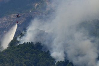 Spanyol Tangkap Sopir Traktor yang Diduga Sebabkan Kebakaran Hutan, Lebih dari 250.000 Orang Dievakuasi