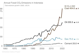 Tes Emissions Pabrik Batubara Dihadapkan pada Kritik Ilmuwan