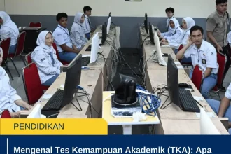 TKA: Kemampuan Akademik dan Pengawasan Tenaga Kerja Asing