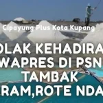 Cipayung Plus Kota Kupang Tolak Penyematan Gelar 'Raja Timur' untuk Jokowi, Singgung Mekanisme Adat