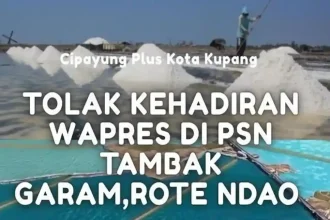 Cipayung Plus Kota Kupang Tolak Penyematan Gelar 'Raja Timur' untuk Jokowi, Singgung Mekanisme Adat