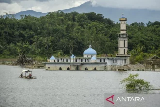 Fenomena Kampung di Lebak yang Lama Tenggelam Tiba-Tiba Muncul ke Permukaan, Ini Penampakannya!