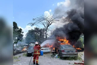Kisah Pilu Edy Supryanto: Tolak Lapor Polisi Usai 43 Kambing Mati Terbakar, Rugi Lebih Rp200 Juta