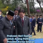 Korsel Minta Prabowo Bujuk Korut, Dave Ingatkan Soal Bebas Aktif: Langkah Diplomasi Indonesia untuk Mendorong Perdamaian di Semenanjung Korea