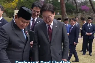 Korsel Minta Prabowo Bujuk Korut, Dave Ingatkan Soal Bebas Aktif: Langkah Diplomasi Indonesia untuk Mendorong Perdamaian di Semenanjung Korea
